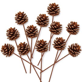 Whaline Christmas Natural Pine Cones 12 Pieces Pinecone Picks Christmas Tree Ornament Holiday Centerpiece for Christmas Tree Home Party Decoration Supplies, 1.8 Inch