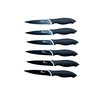 Pradel Excellence CC006N Kasten mit 6 Antihaft-Steakmessern aus rostfreiem Edelstahl,