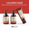 INSIGHT Coloured Hair Protective Mask 250 ml