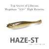 HAZE-ST 3.4inch green pumpkin shad