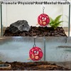 Snake Hammock For Ball Python, Jungle Gym Ball With Chain