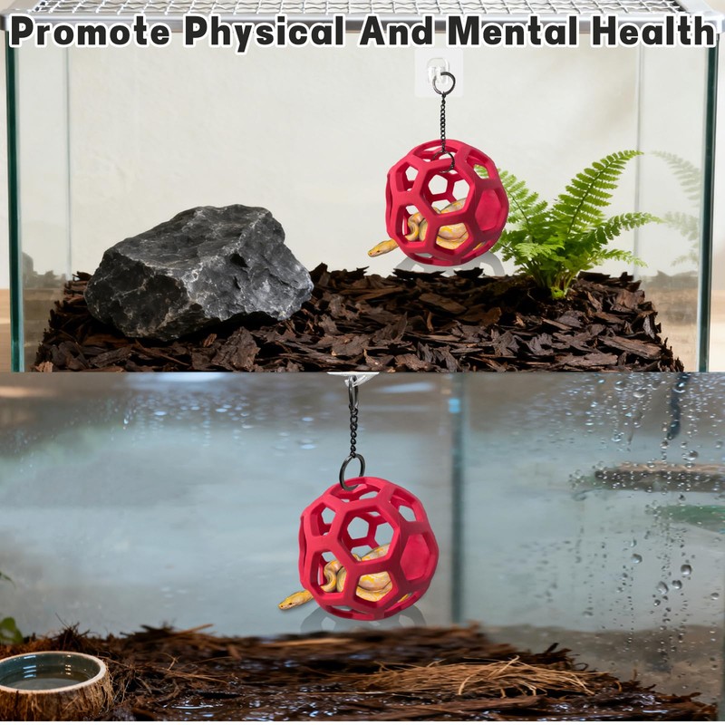Snake Hammock For Ball Python, Jungle Gym Ball With Chain