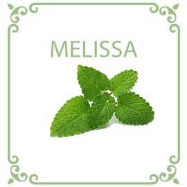 ACEITE ESENCIAL DE MELISSA OFFICINALIS 15 M