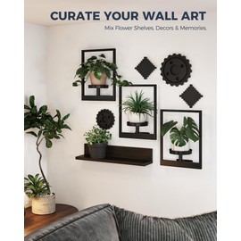 Bamworld Wall Planters for Indoor Plants Hanging Planter for Indoor Plants Plant Stand Indoor Wall Decor Hanger Window Plant Shelves 3 Pack for Living Room Outdoor Entryway