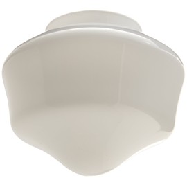 Hunter 22515 8-Inch Schoolhouse Globe, Opal