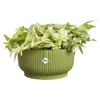 Elho Vibes Fold Bowl 25cm Vasi per Piante - Verde