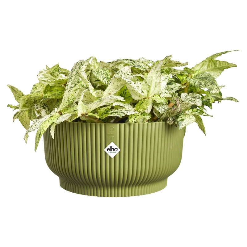 Elho Vibes Fold Bowl 25cm Vasi per Piante - Verde