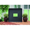 Tierra Garden Square Tray, Durable 1-Piece Drip and Potting Tray