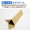 Earth Cardboard, Cardboard Poster Case, A2 Compatible, Set of 20,