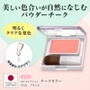 Powder Blush Color 121 Pink with Brush (Cheek, Blusher, Ruddy,