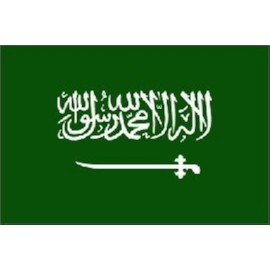 Saudi Arabia Flag 3ft x 5ft Printed Polyester by Flags Unlimited