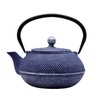 SECHUDO Cast Iron Teapot Tea Kettle with Stainless Steel Infuser