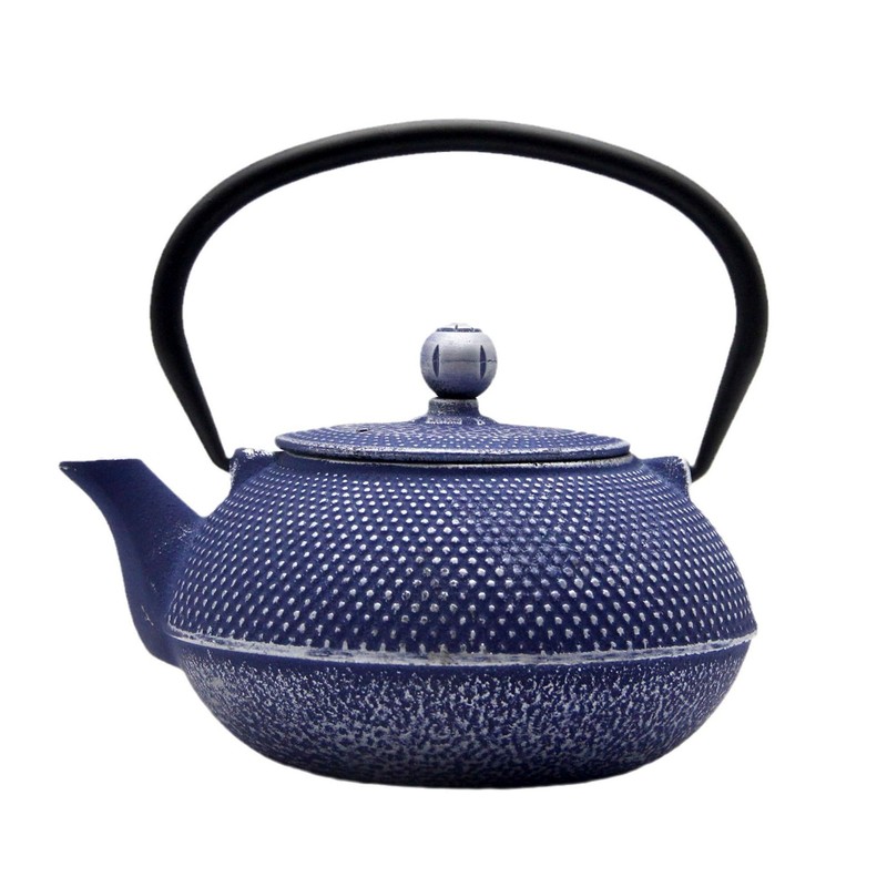 SECHUDO Cast Iron Teapot Tea Kettle with Stainless Steel Infuser