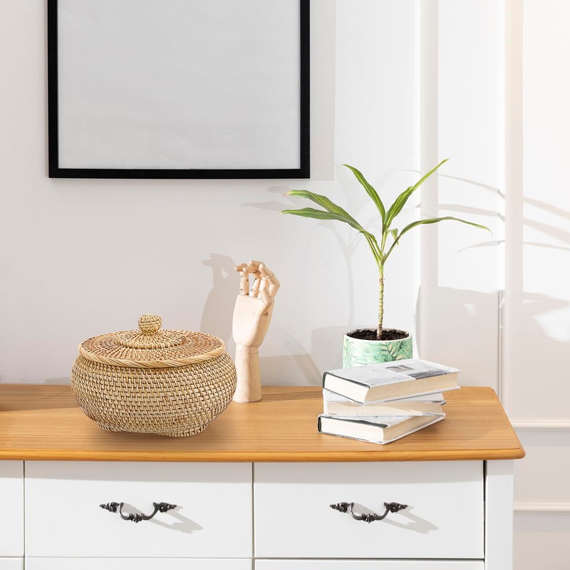IGNPION Rattan Storage Basket with lid Multi-Purpose Decorative Storage Baskets