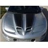 Rocky Mountain Graphics 98-02 Pontiac Trans Am Ws6 Dual Stripes