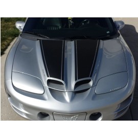 Rocky Mountain Graphics 98-02 Pontiac Trans Am Ws6 Dual Stripes Hood Roof Rear Spoiler Graphics Decals