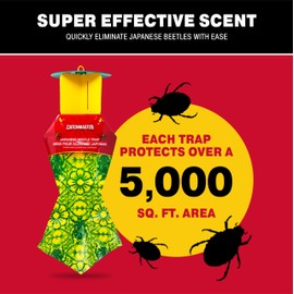 Catchmaster Japanese Beetle Traps Outdoor 6PK, Flying Insect Trap Bag with Lid & Dual Pheromone Food Lure, Hanging Bug Catcher Pest Control for Backyard & Garden, Plants, Trees, Vegetables & Flowers