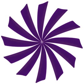 YELARXI Arrow Vanes Turkey Archery Arrows Feather Fletching, 3 Inch Left Wing Fit for Hunting Target Shooting (25Pcs Purple)