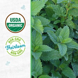 Back to the Roots - 100% Organic Seed Packet - Lemon Balm 140mg