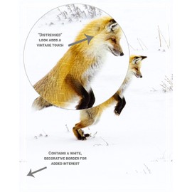 Fox Nursery Decor for Boys and Girls - Kids Bedroom Wall Art - Woodland Fox - Forest Animals - Fox Bedroom Decor for Baby Children - Playroom Artwork - Set of 3 Prints - 8x10 - UNFRAMED