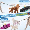 AUTOWT Double Leash for Two Small Dogs, No Tangle 360°
