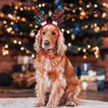 Gukasxi Pack of 3 Christmas Pet Headwear, Christmas Reindeer Dog