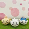 Lilic Chiwa, Suisui, Rabbit