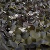 Sitong Bulk Roll Camo Netting for Hunting Military Decoration Sunshade