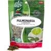 Hanan Pulmonaria 50g Lungwort 1.8z Herbal Tea from Peru
