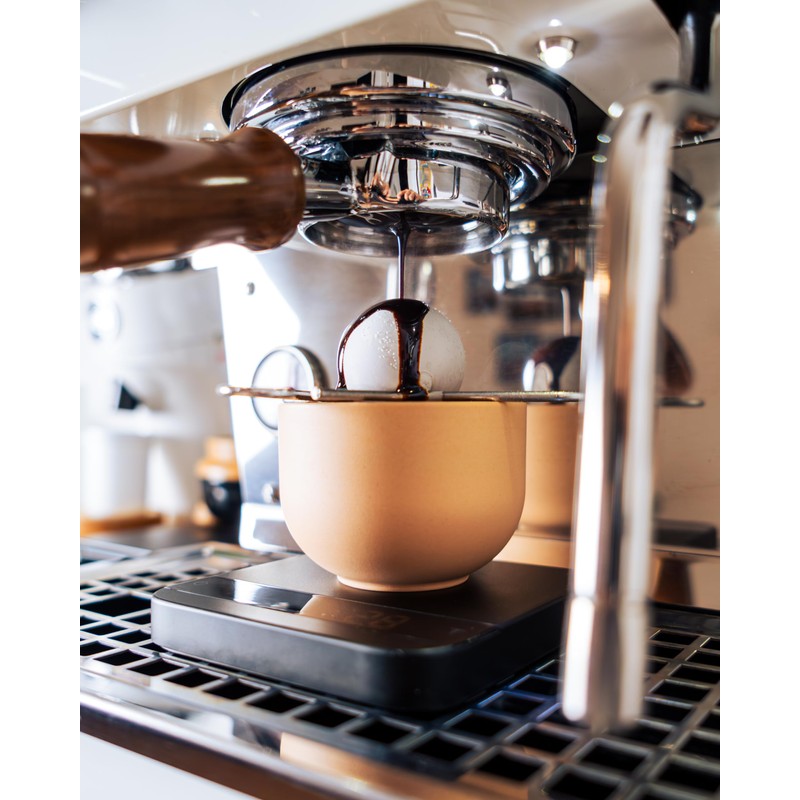 Coffee Alive 30MM ball ideal for esspresso: Blanching Tool to