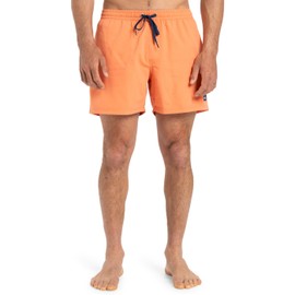 Quiksilver Men's Everyday Solid Volley 15 Jam/Volley (Pack of 1)
