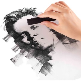 KachiKawa Artist Willow Charcoal Sticks Water Basic Natural Charcoal Piece 8 PCS (Willow Charcoal Diameter 3-8 mm)