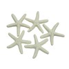 LJY 25 Pieces 6cm Beige Resin Pencil Finger Starfish for