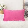 MIULEE Velvet Soft Soild Decorative Square Throw Pillow Covers Cushion
