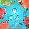Shameless Snacks - Healthy Low Calorie Snacks, Low Carb Keto