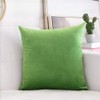 SWISSPACK 20x20 Velvet Soft Decorative Square Throw Pillow Case Cushion