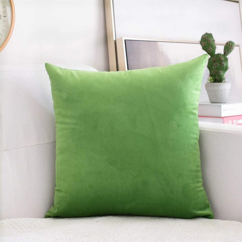 SWISSPACK 20x20 Velvet Soft Decorative Square Throw Pillow Case Cushion