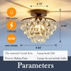 YYJLX Crystal Chandelier,Modern Semi Flush Mount Small Ceiling Light Oil