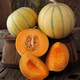 Charentais Melon 4 Oz Seeds – French Heirloom Cantaloupe—Non-GMO, Open-Pollinated, Heat Tolerant—Sweet, Aromatic Melons—Garden, Greenhouse, Containers—Cucumis melo—90 Days to Maturity