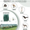 Foldable Chicken Tunnel – Instant Setup, No Assembly Required, 157