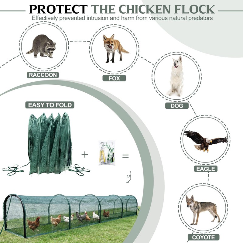 Foldable Chicken Tunnel – Instant Setup, No Assembly Required, 157