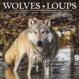 2024 Wolves Wall Calendar
