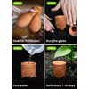 4 Pcs Ollas Terracotta Watering Pots Large - 14 Oz