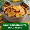 Gembos Plantain Chips Salty Snack Pack - Delicious Vegan Chips