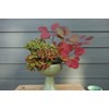 Pillow Floral Cage for Centerpieces and Vases - 4" Wide