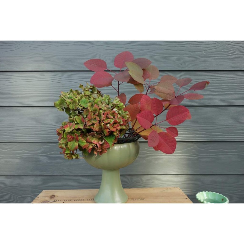 Pillow Floral Cage for Centerpieces and Vases - 4" Wide
