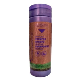 Salerm Grapeology Kit Mini Shampoo Y Mascarilla