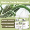 TPS NUTRIENTS Air Plant Fertilizer for All Tillandsia Air Plants,