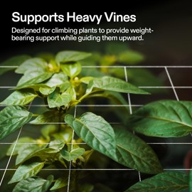 VIVOSUN Heavy-duty Polyester Plant Trellis Netting 5 x 15ft, 1 Pack