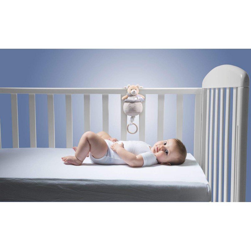 Chicco 00009618000000 Teddy Bear Musical Box, Multi-Colour